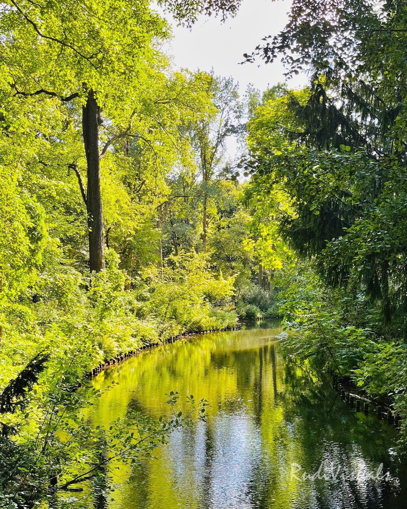 Tiergartengewässer in Berlin