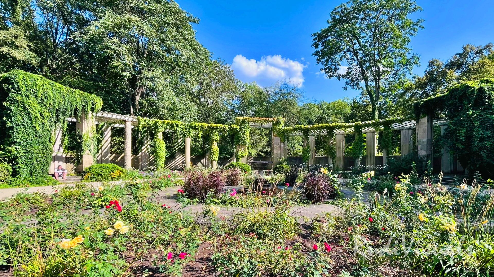 Der Rosengarten im Großen Tiergarten