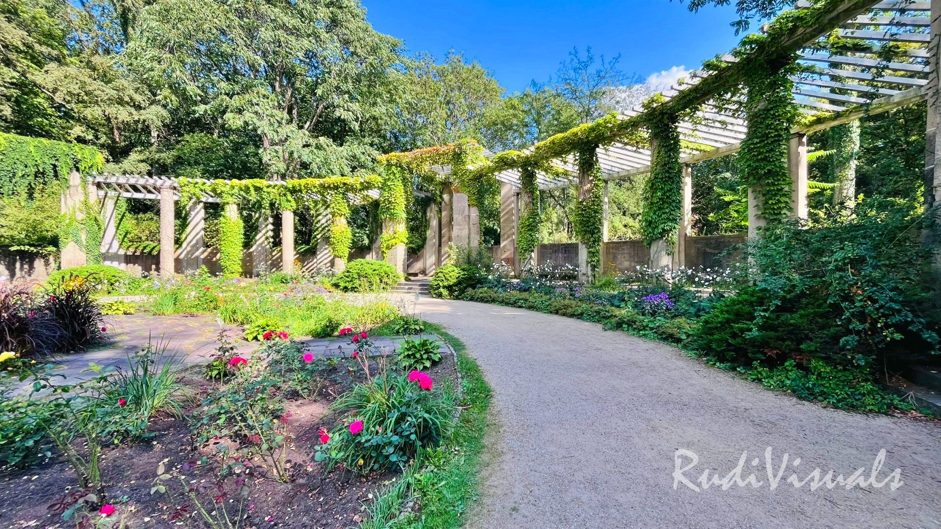 Der Rosengarten im Großen Tiergarten