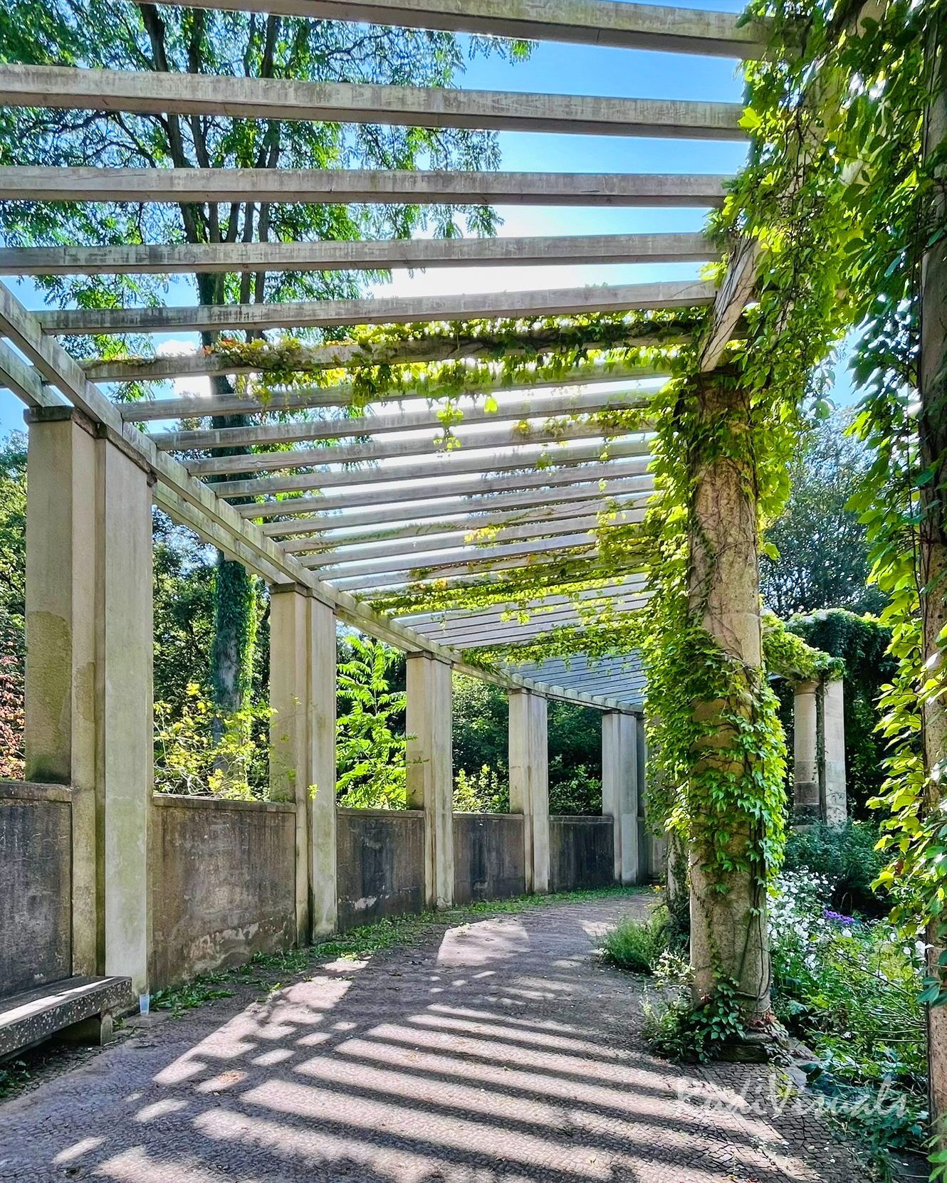 Der Rosengarten im Großen Tiergarten