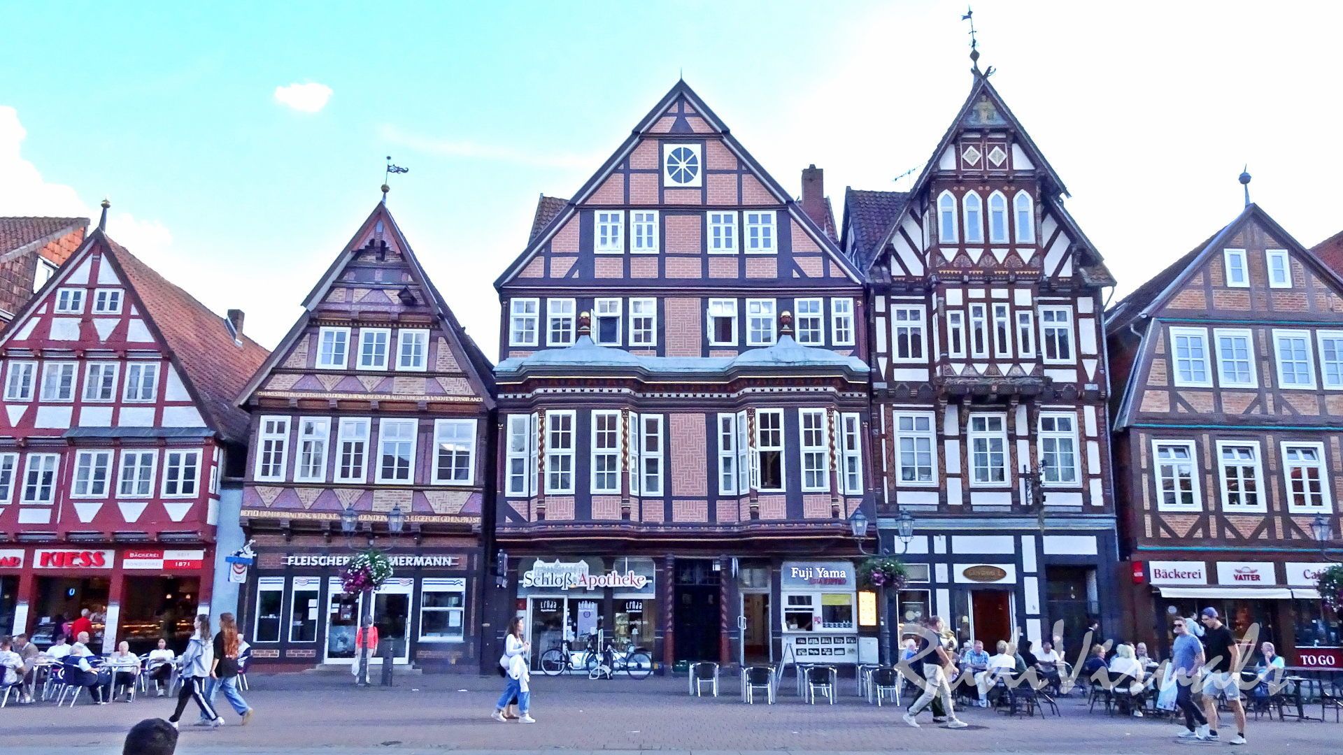 Celle