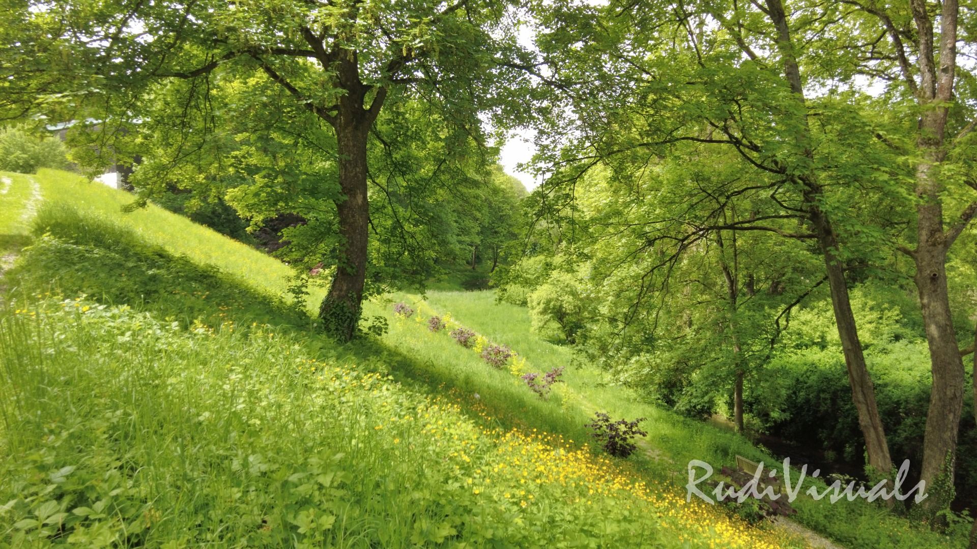 Schloss und Schlosspark Derneburg